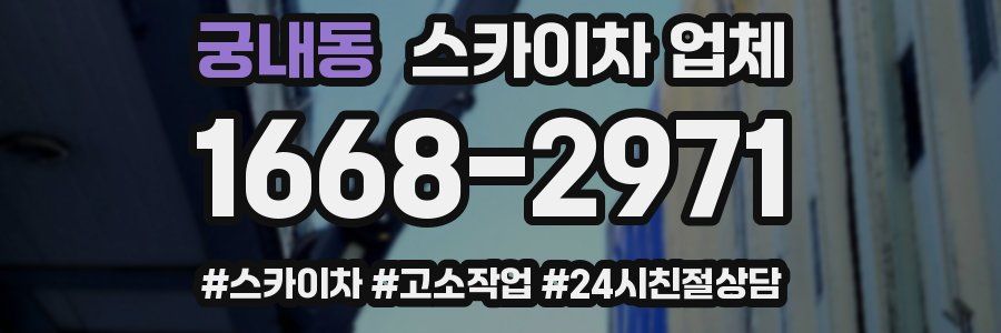 궁내동 스카이차 업체