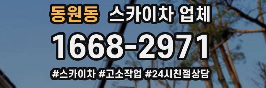 동원동 스카이차 업체