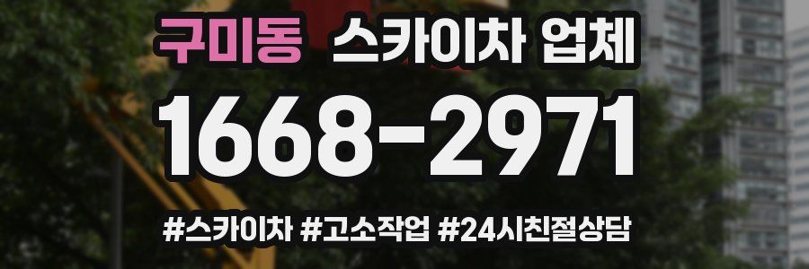 구미동 스카이차 업체