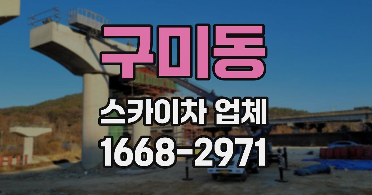 구미동 스카이차 업체