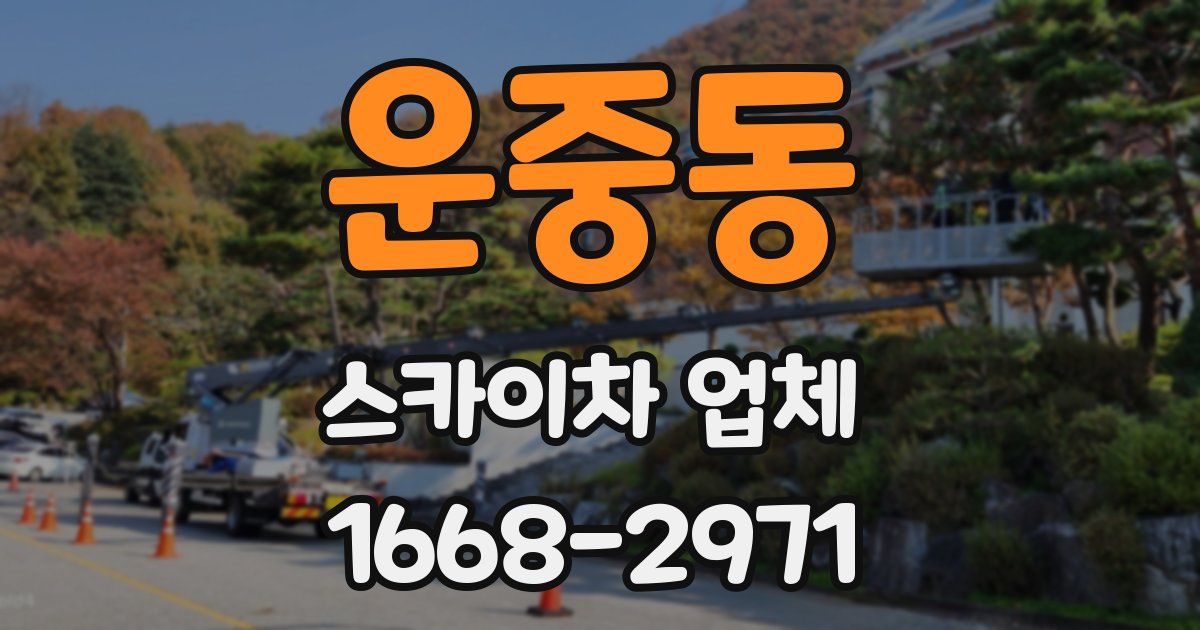 운중동 스카이차 업체