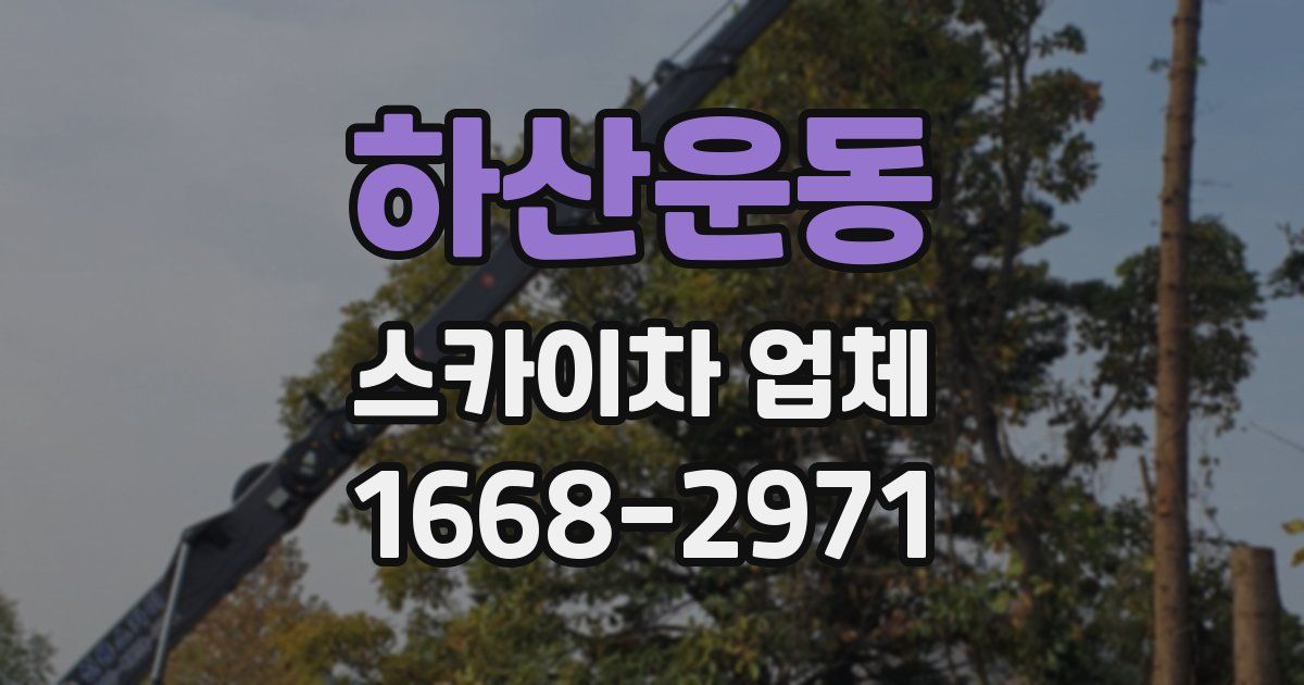 하산운동 스카이차 업체