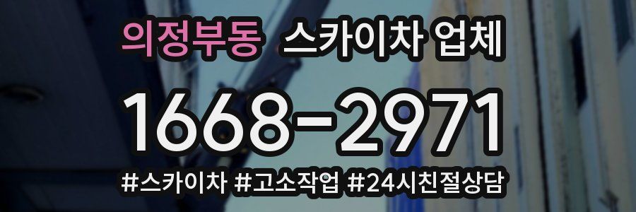 의정부동 스카이차 업체