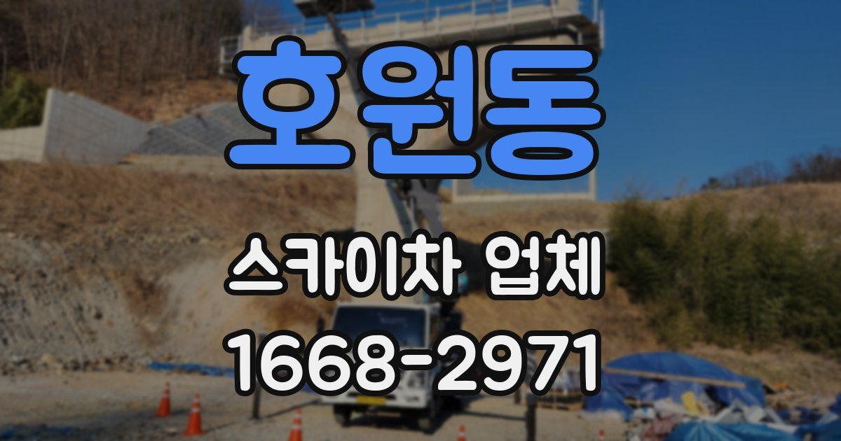 호원동 스카이차 업체