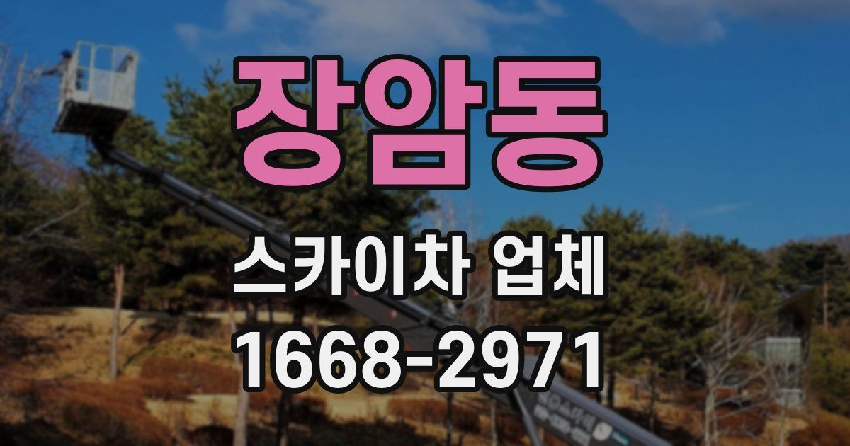 장암동 스카이차 업체
