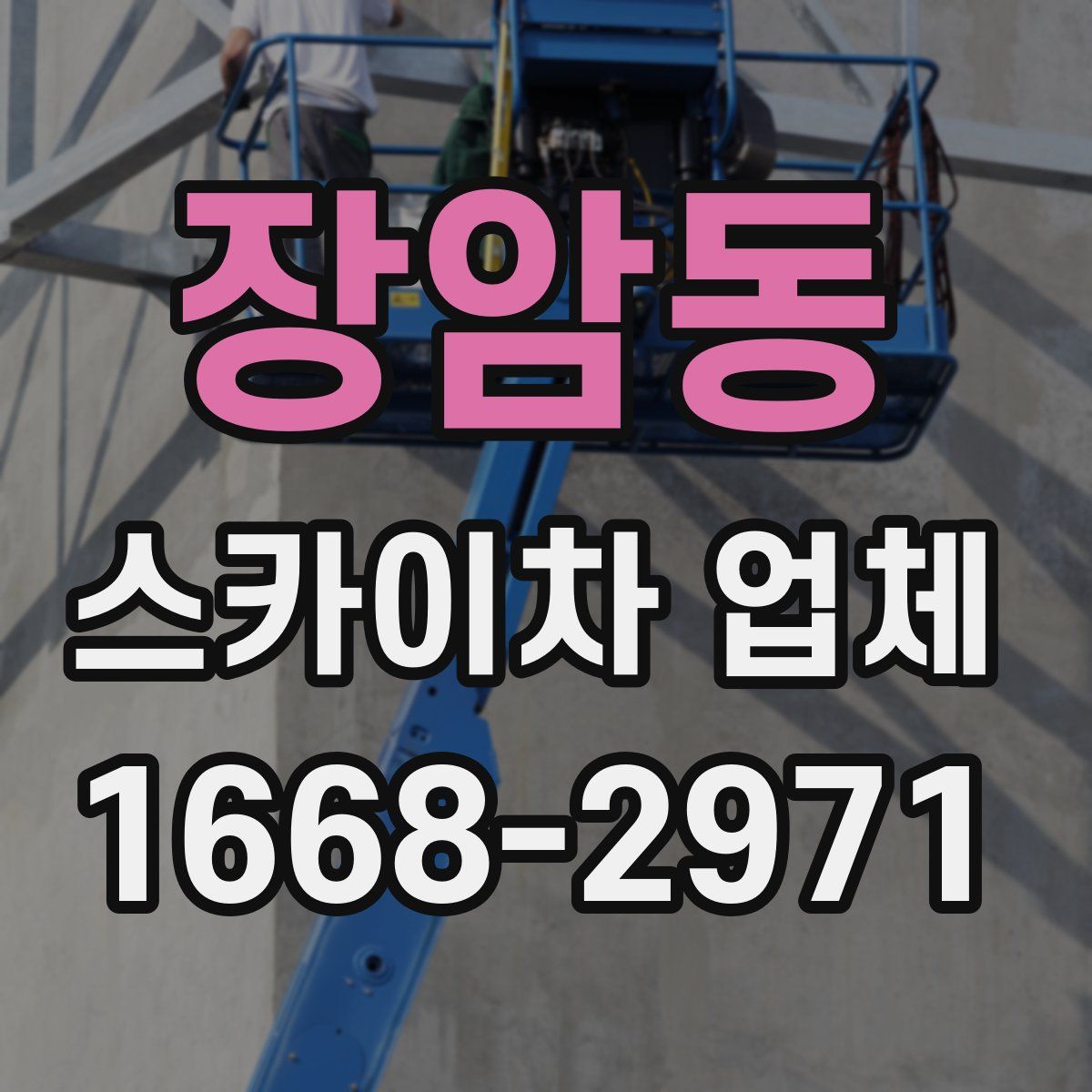장암동 스카이차 업체