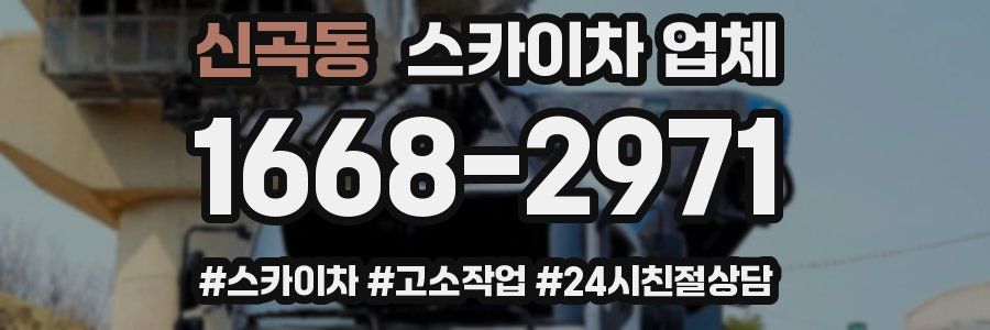 신곡동 스카이차 업체