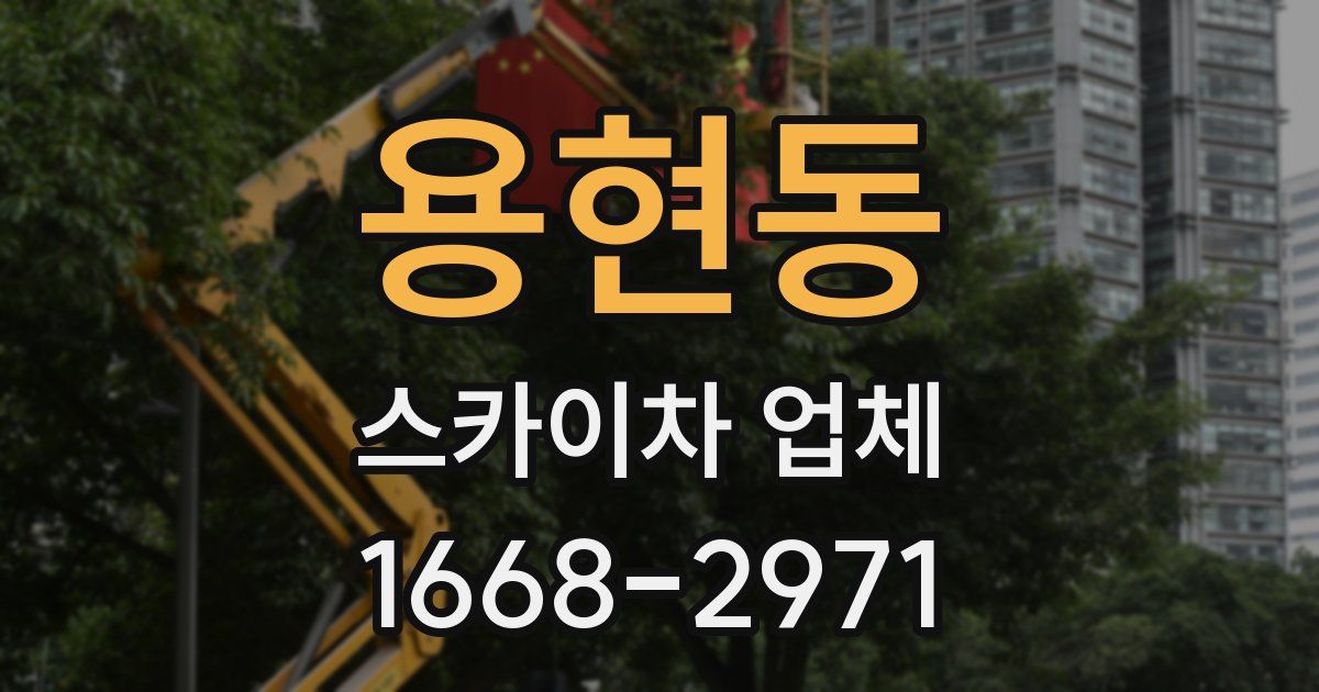 용현동 스카이차 업체