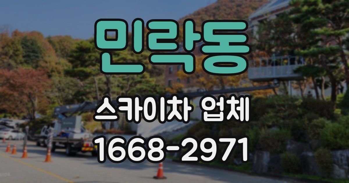민락동 스카이차 업체