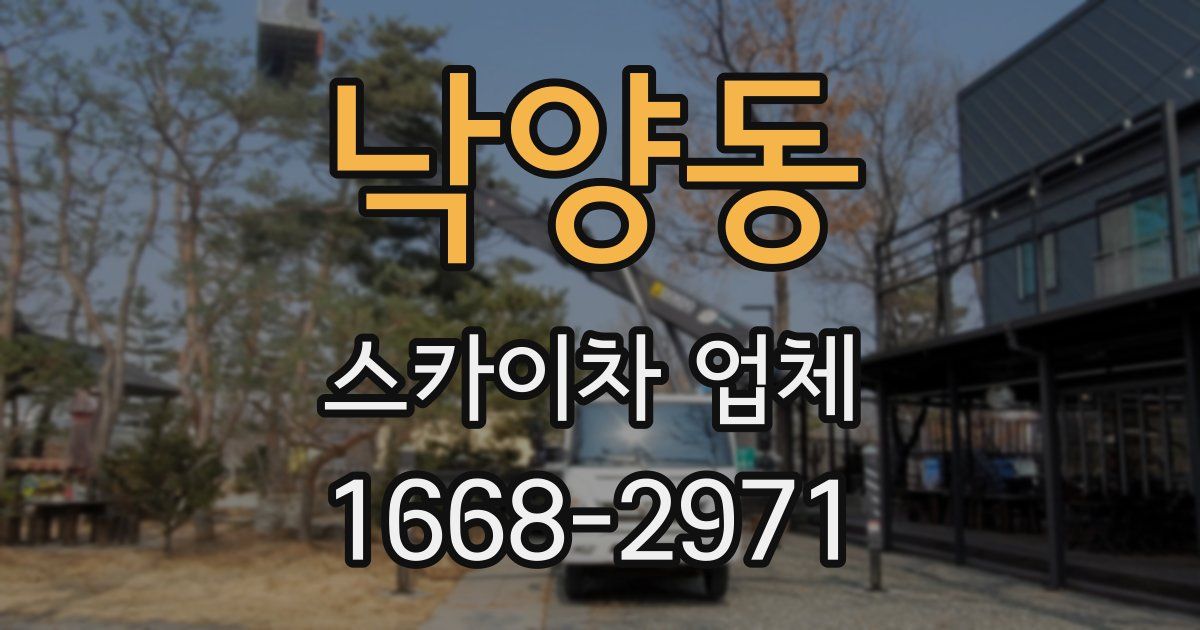 낙양동 스카이차 업체