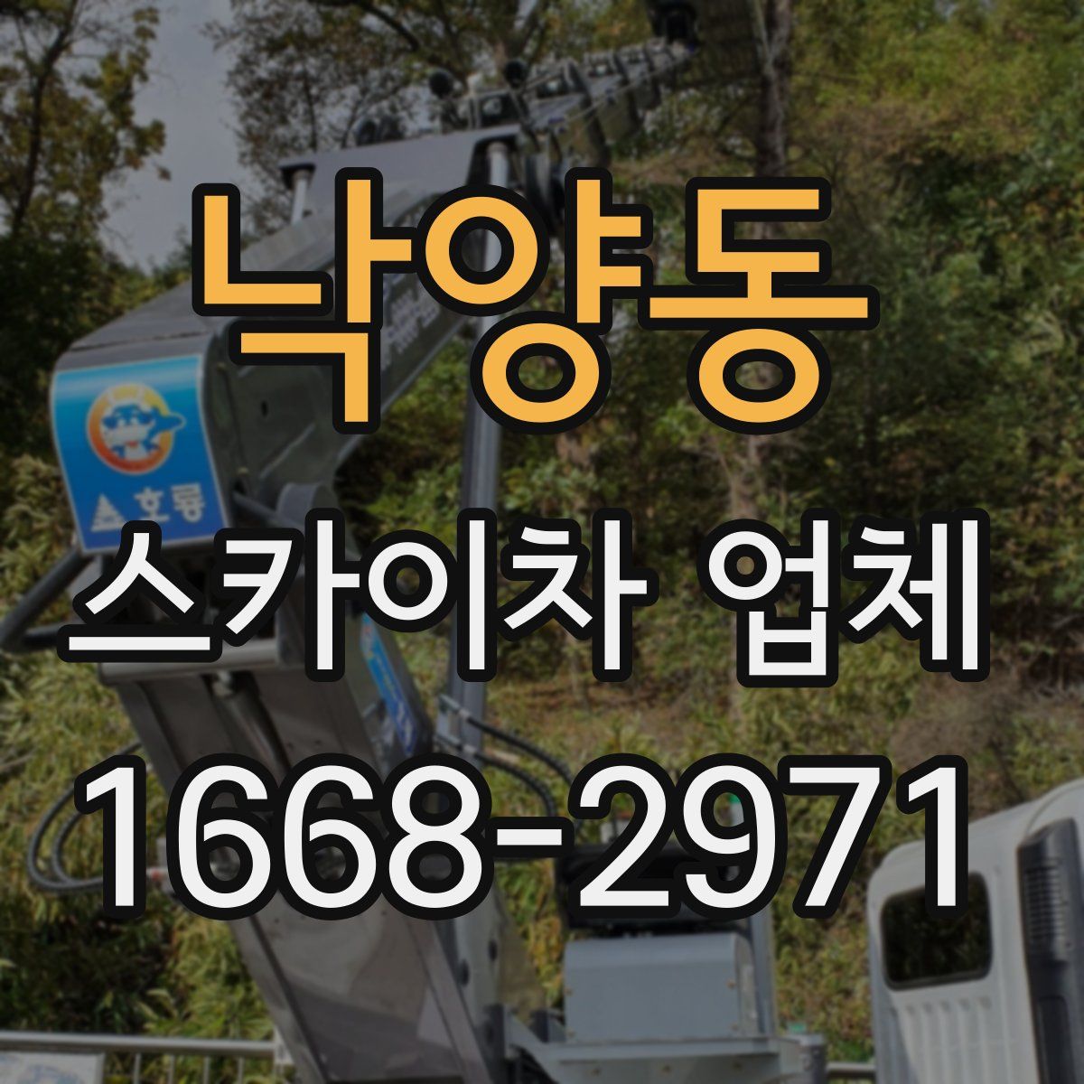 낙양동 스카이차 업체