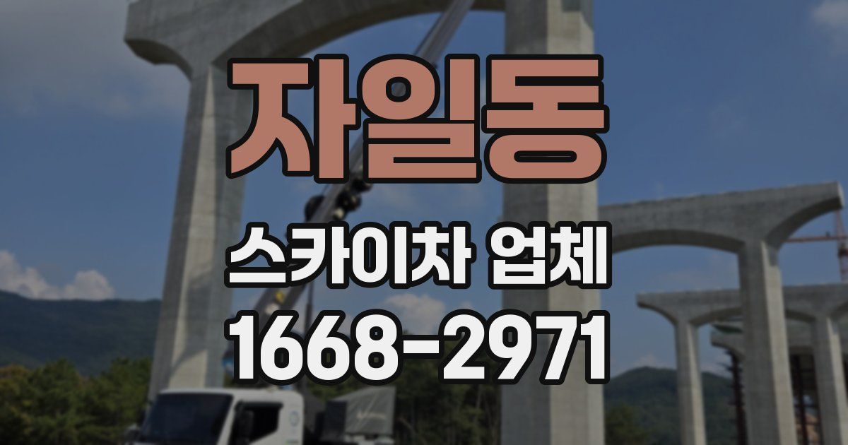 자일동 스카이차 업체