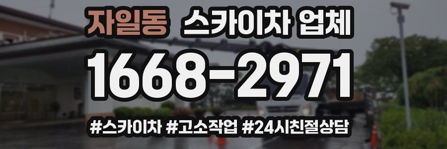 자일동 스카이차 업체