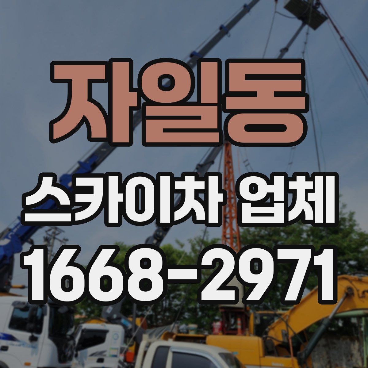 자일동 스카이차 업체