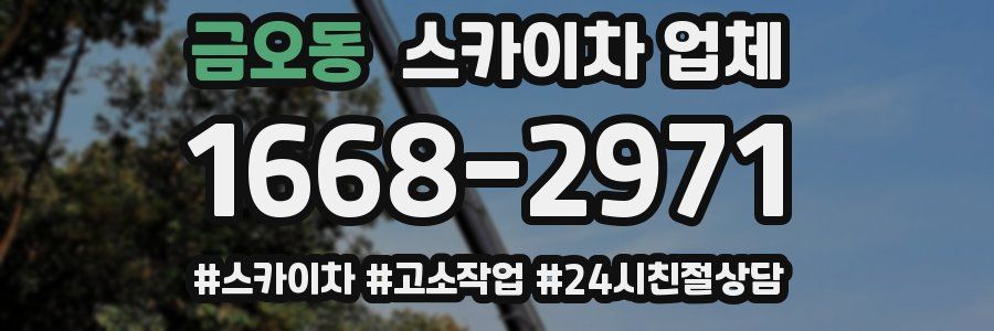 금오동 스카이차 업체