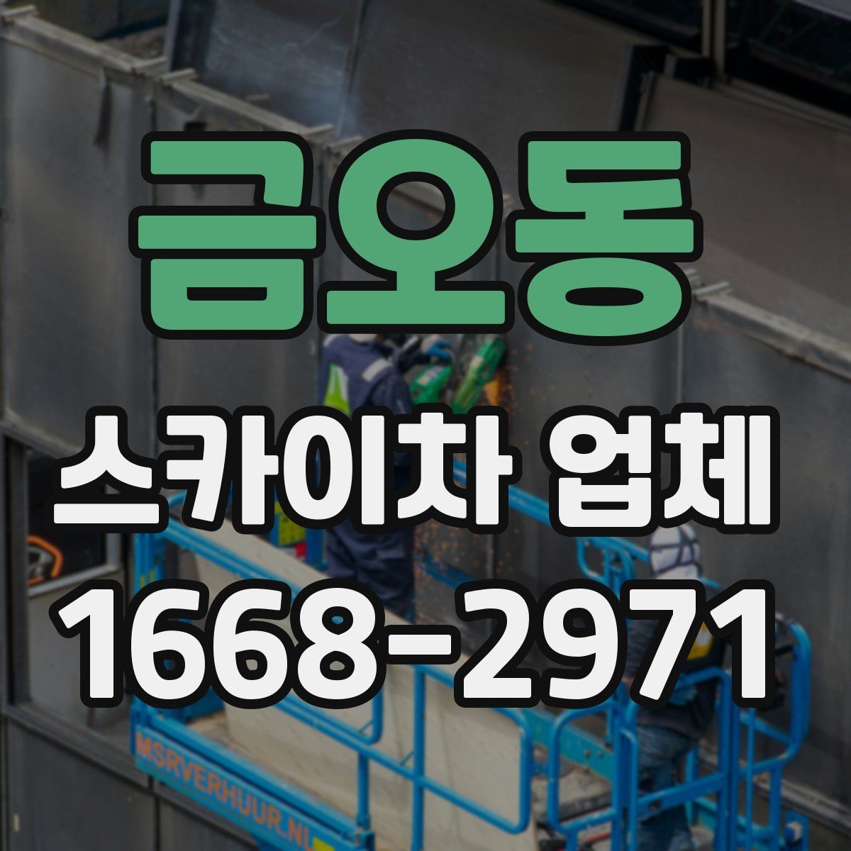 금오동 스카이차 업체