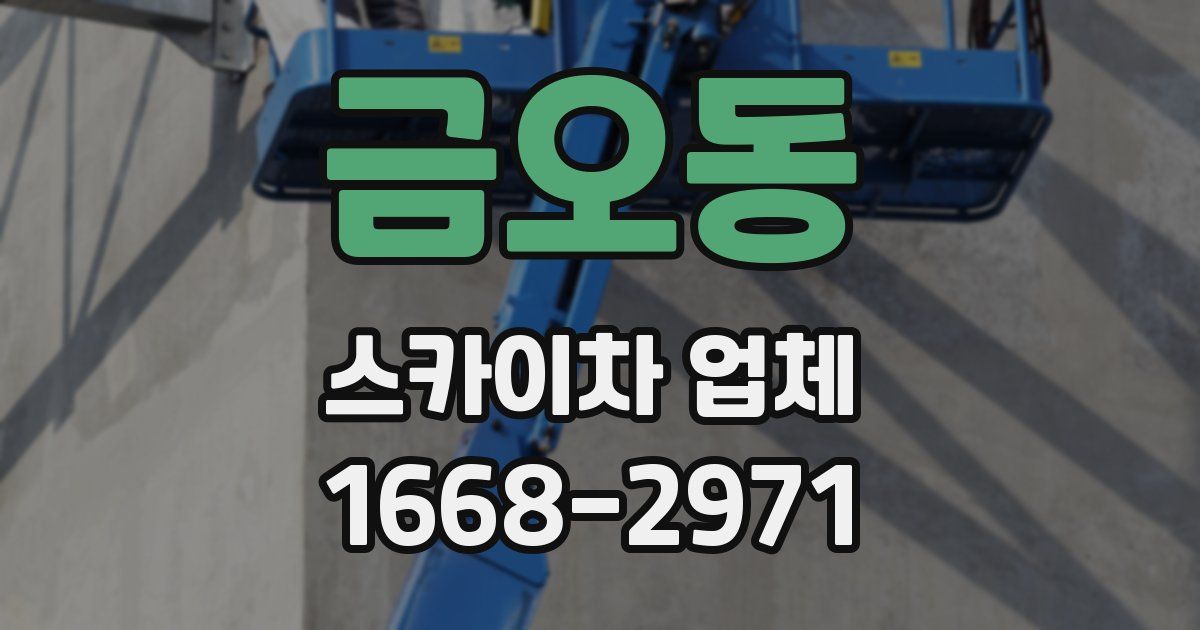 금오동 스카이차 업체