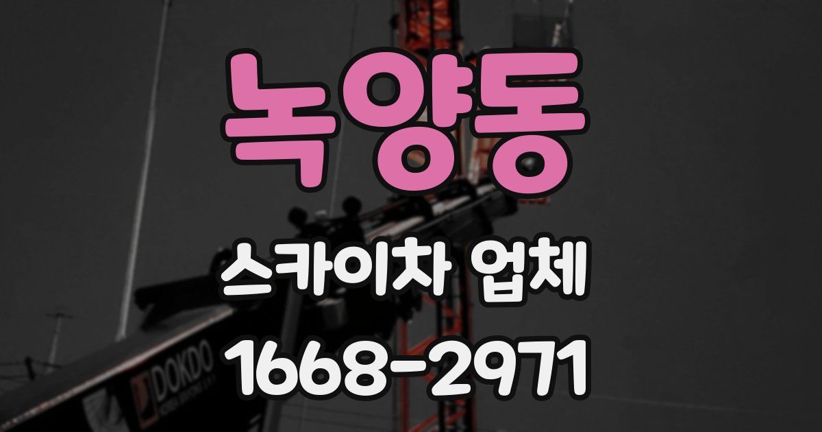 녹양동 스카이차 업체