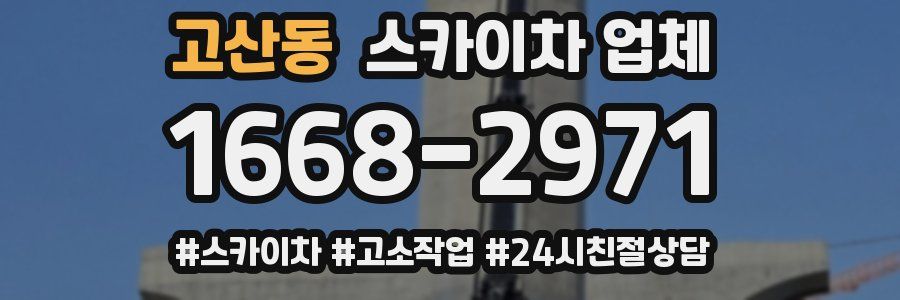 고산동 스카이차 업체