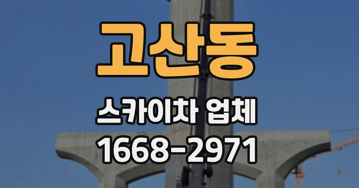 고산동 스카이차 업체