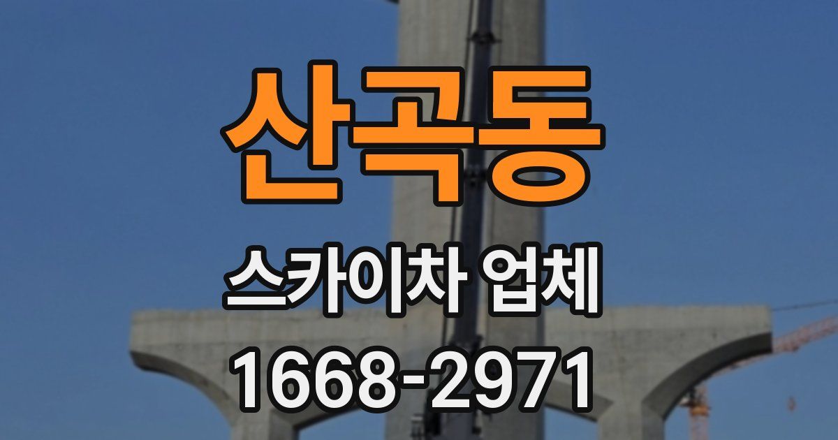 산곡동 스카이차 업체