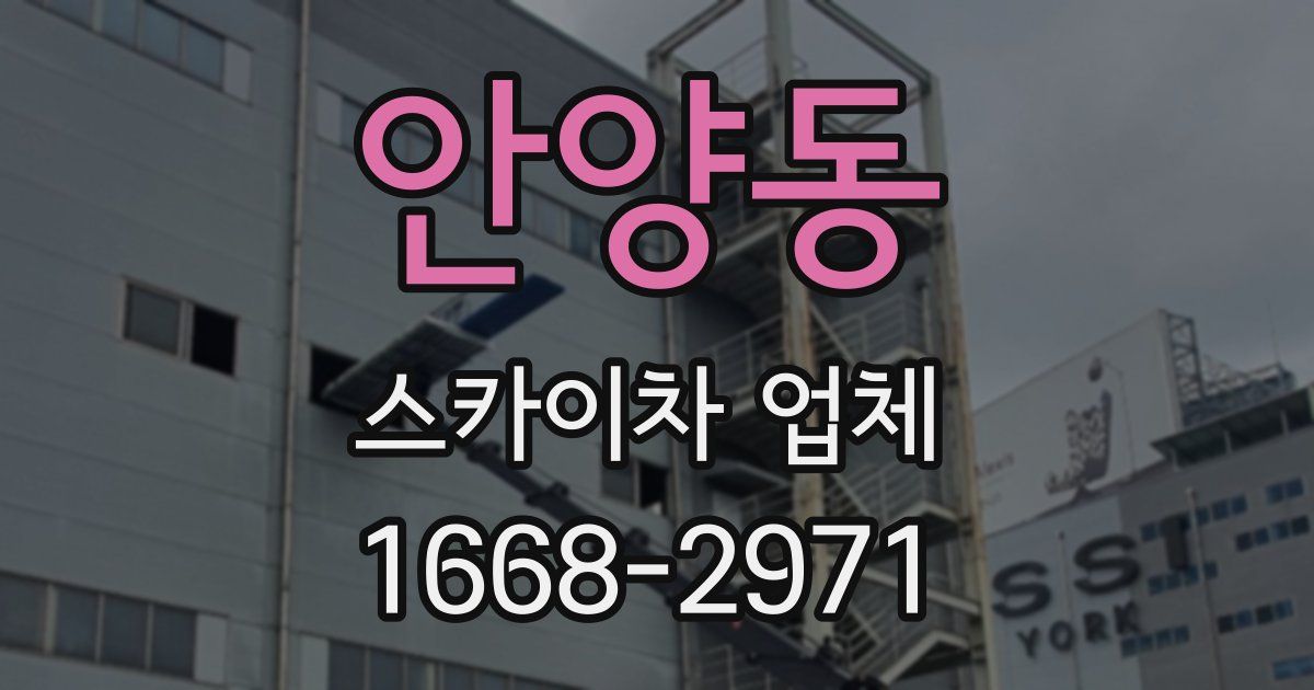 안양동 스카이차 업체