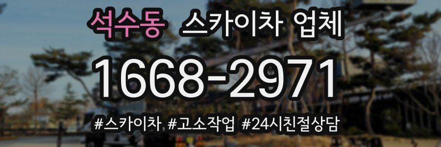 석수동 스카이차 업체