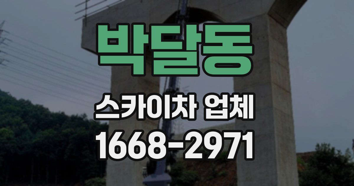박달동 스카이차 업체