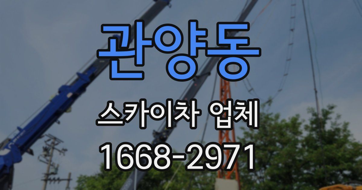 관양동 스카이차 업체