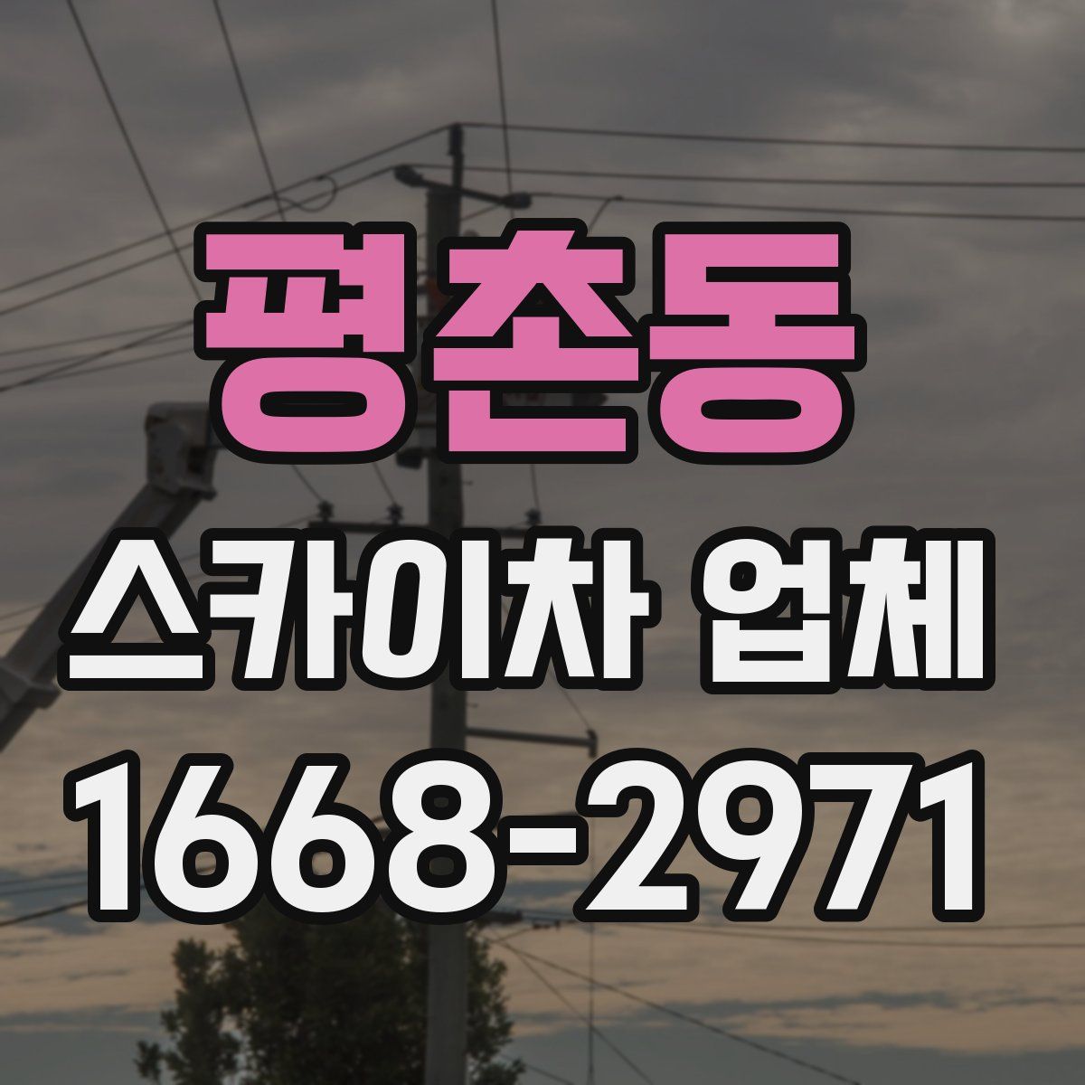 평촌동 스카이차 업체