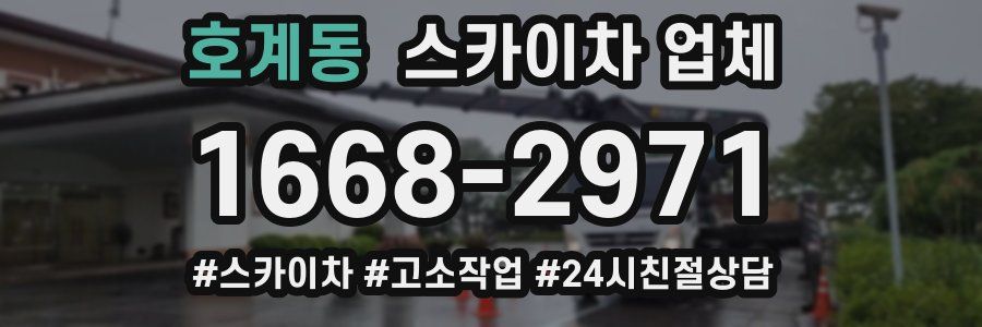 호계동 스카이차 업체