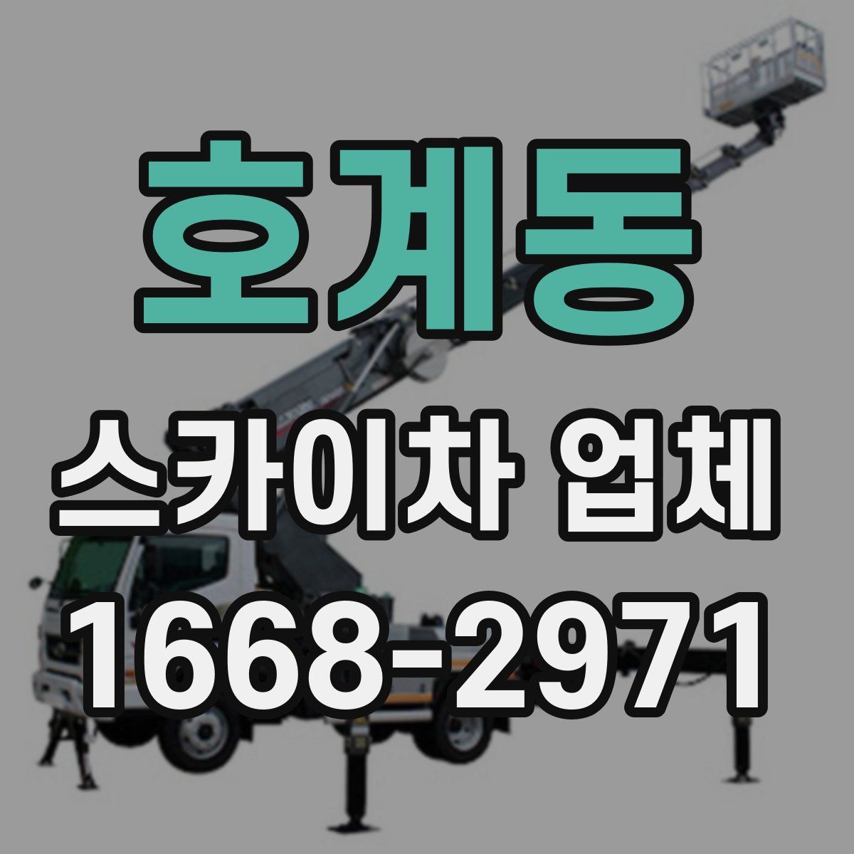 호계동 스카이차 업체