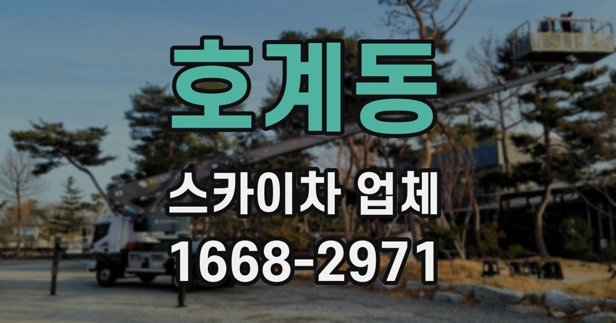 호계동 스카이차 업체