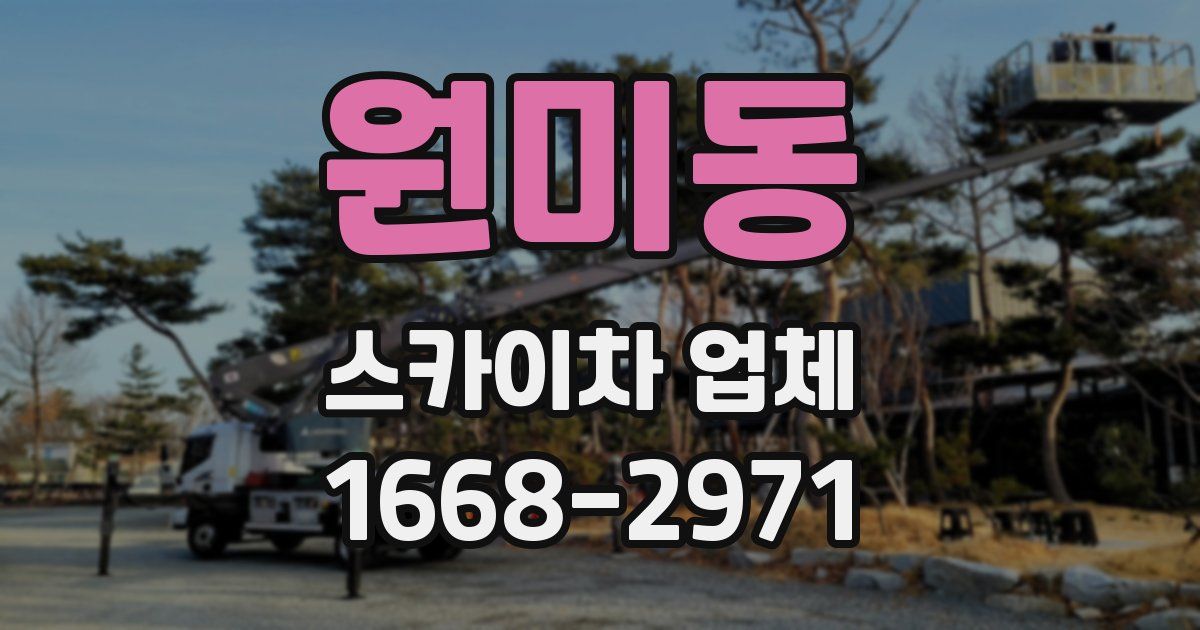 원미동 스카이차 업체