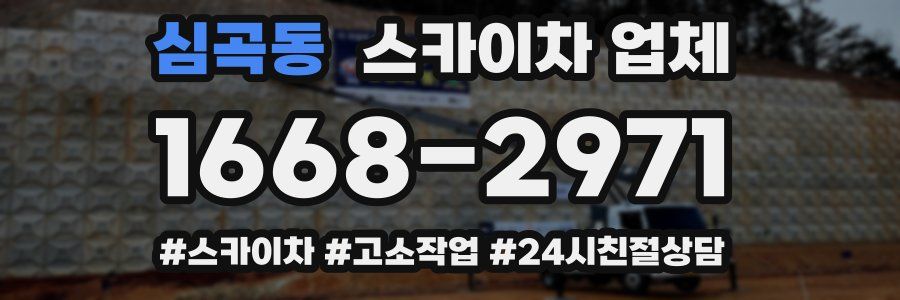 심곡동 스카이차 업체