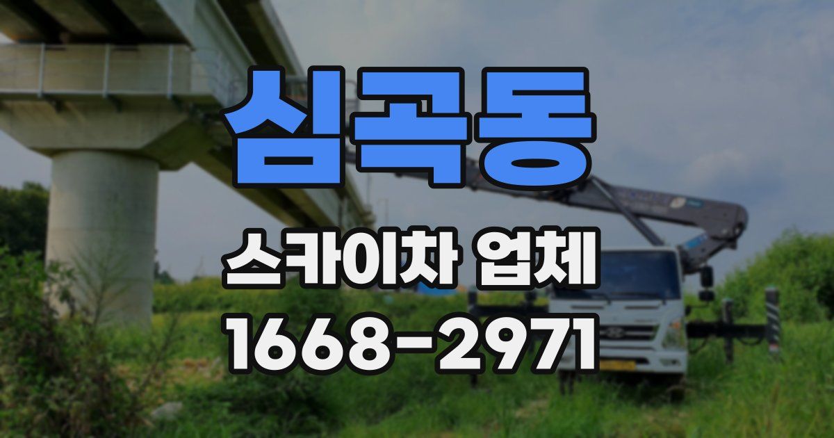 심곡동 스카이차 업체