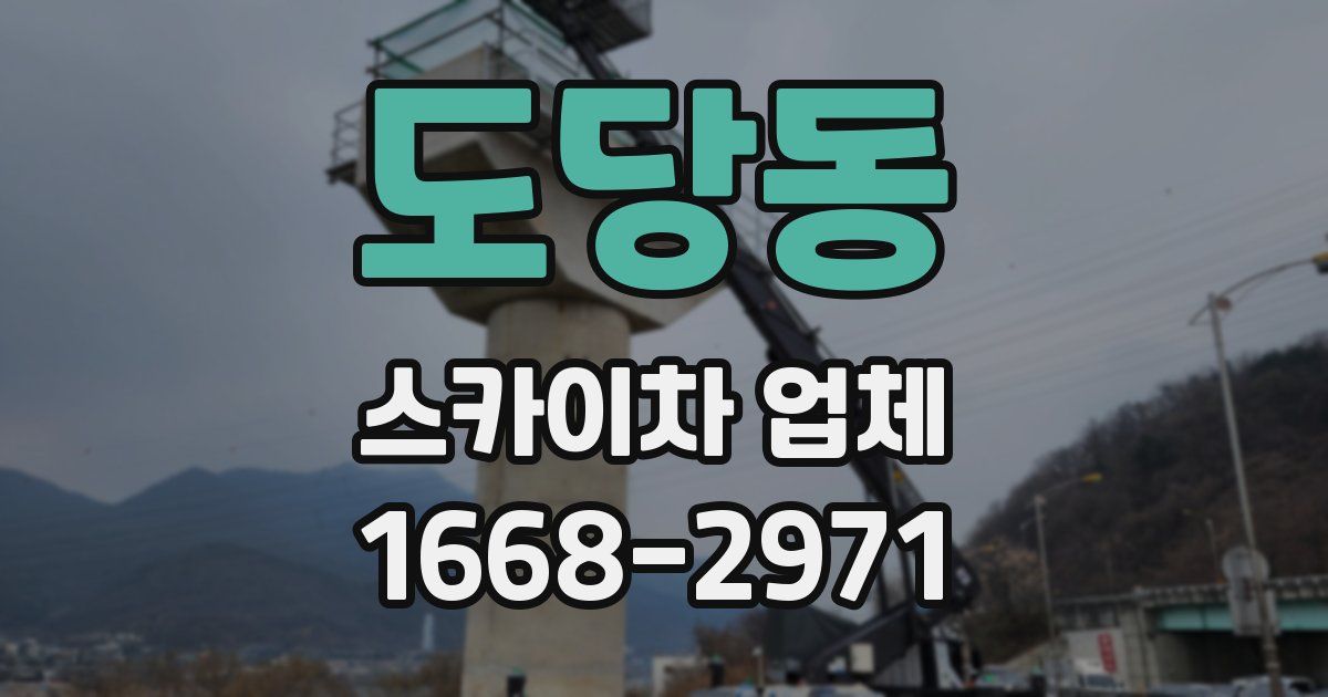 도당동 스카이차 업체