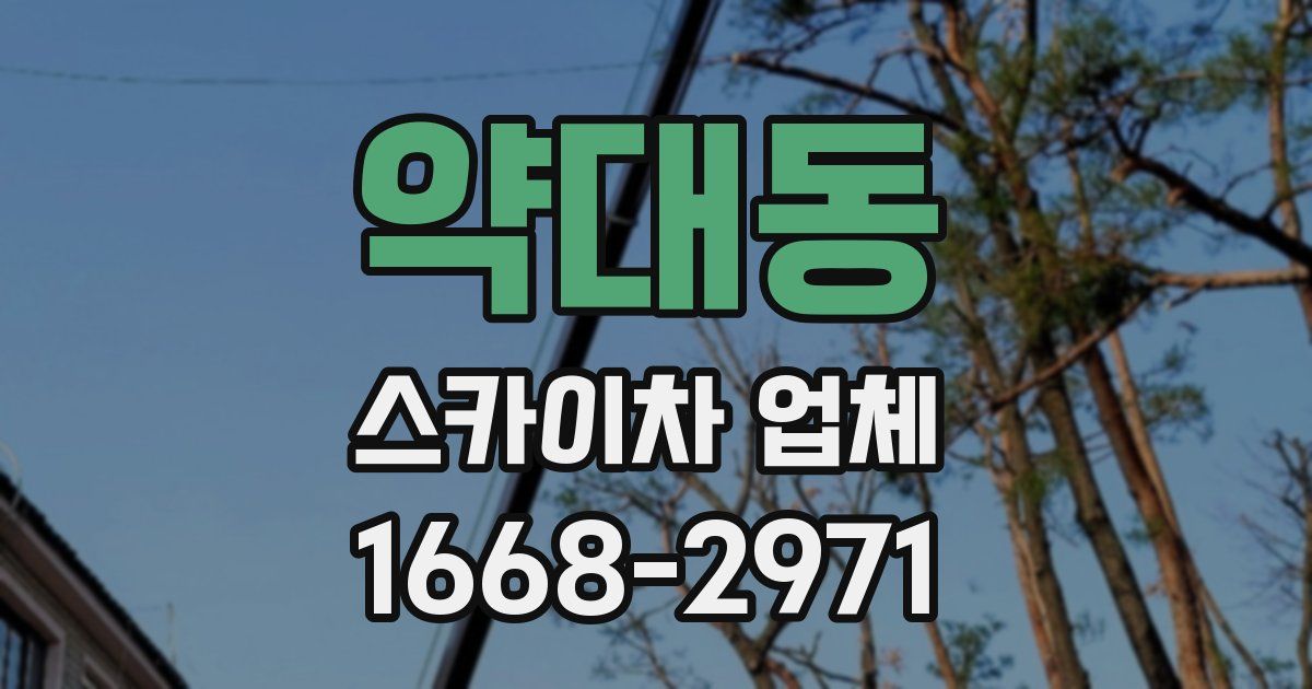 약대동 스카이차 업체