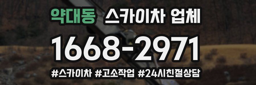 약대동 스카이차 업체