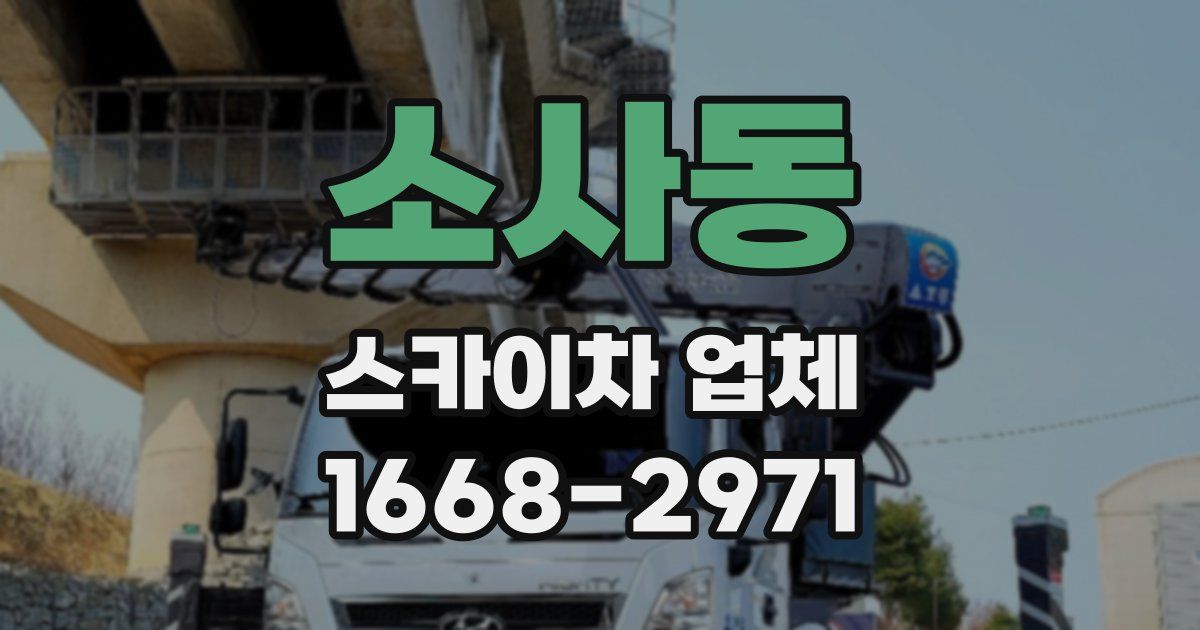 소사동 스카이차 업체