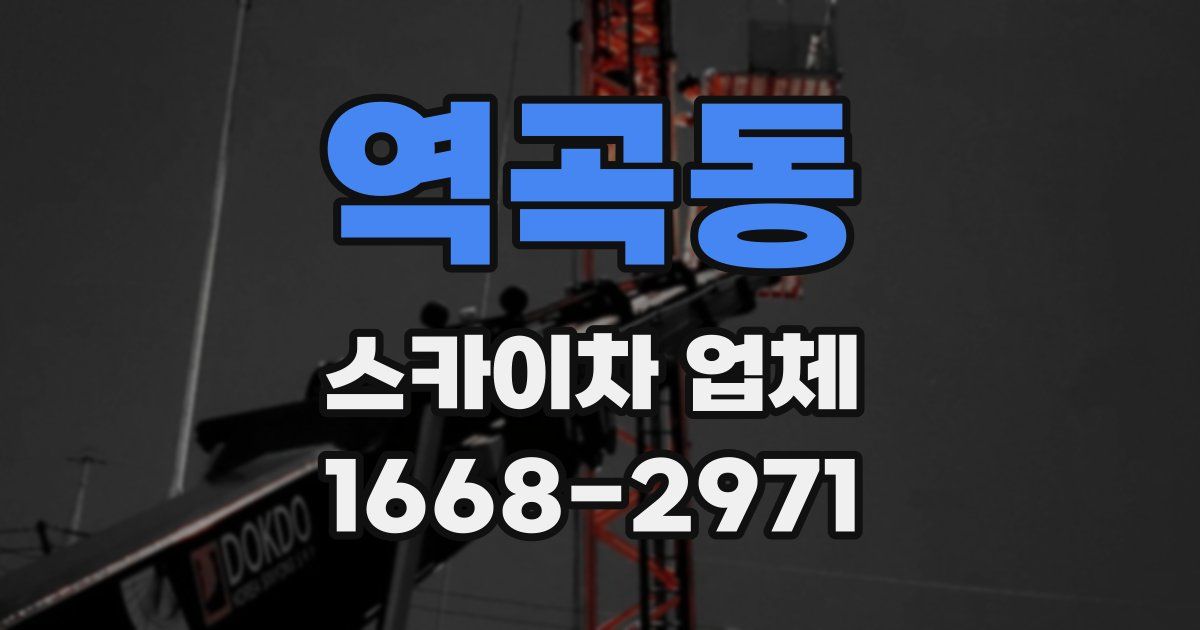 역곡동 스카이차 업체