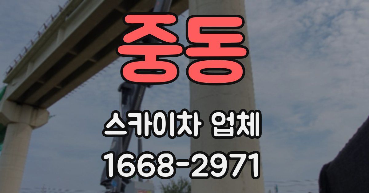 중동 스카이차 업체
