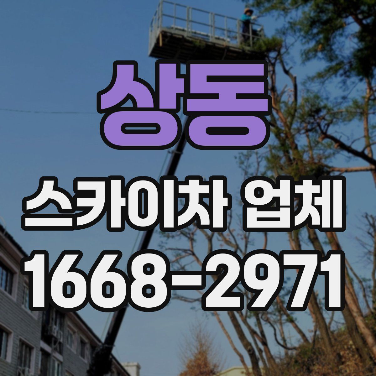 상동 스카이차 업체