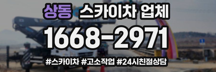 상동 스카이차 업체