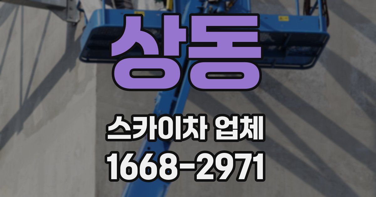 상동 스카이차 업체