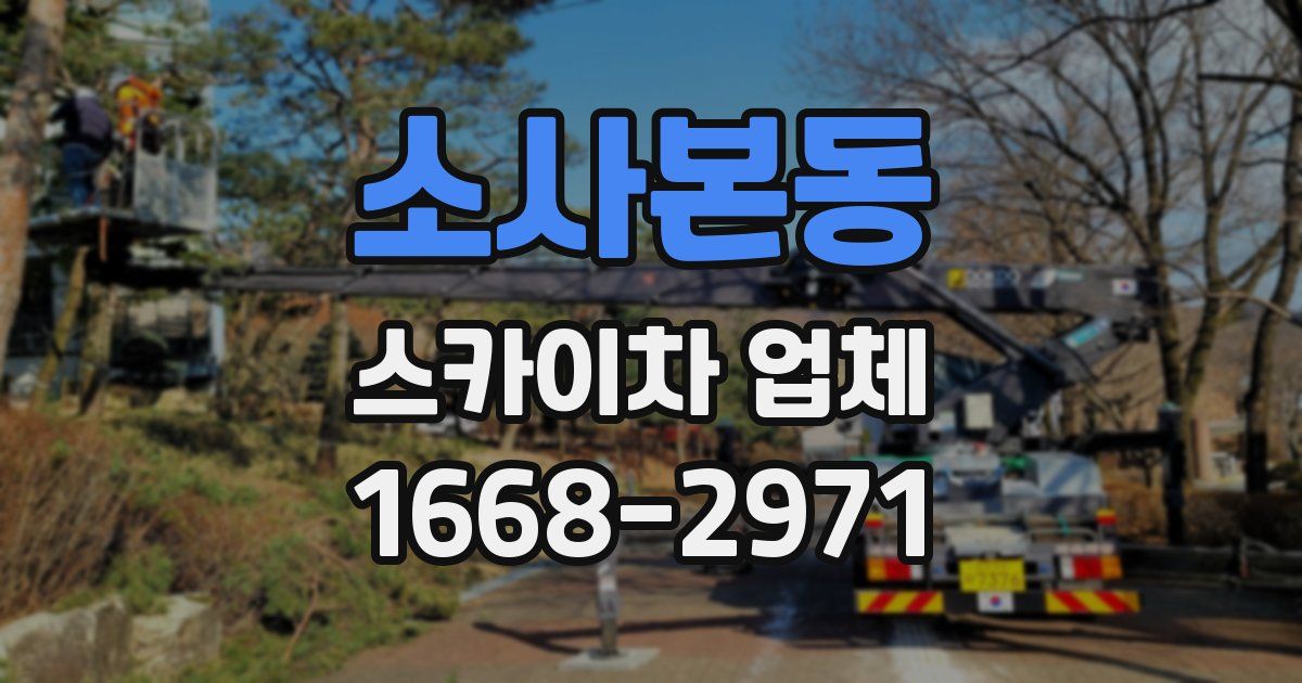 소사본동 스카이차 업체