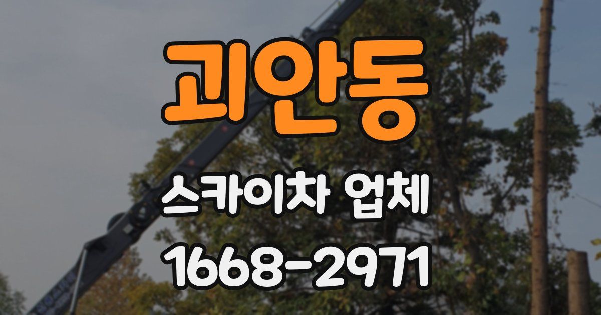 괴안동 스카이차 업체
