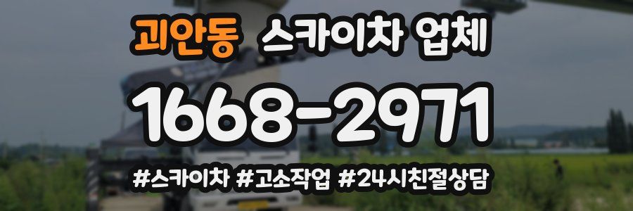 괴안동 스카이차 업체