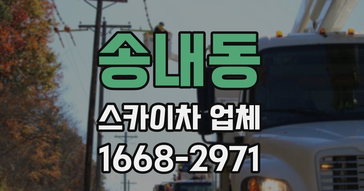 송내동 스카이차 업체