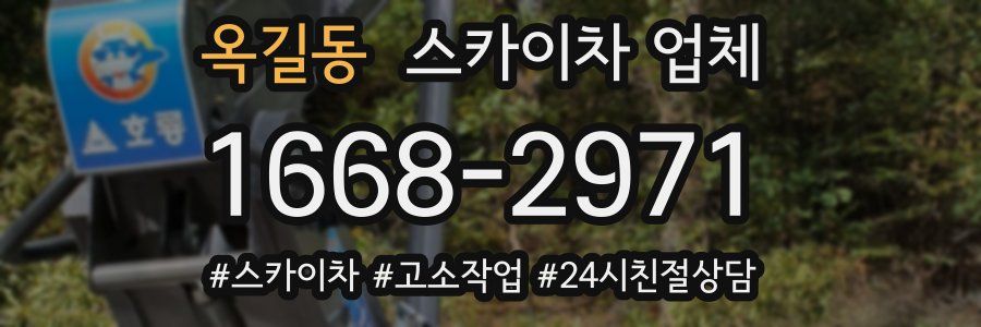 옥길동 스카이차 업체